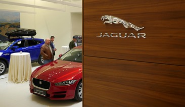 Jaguar Wall