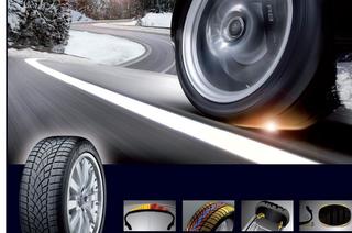 Program Tyres for Moto-Pfohe customers